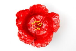 Pig, Pet, Poppy!