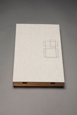 Two Projects: Two Collaborations