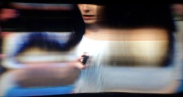 Theoretical Girls and Some Dead Stills - an Introduction