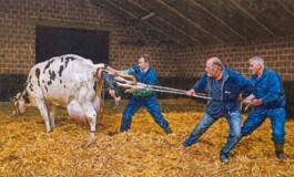 Allan Otte (DK)
