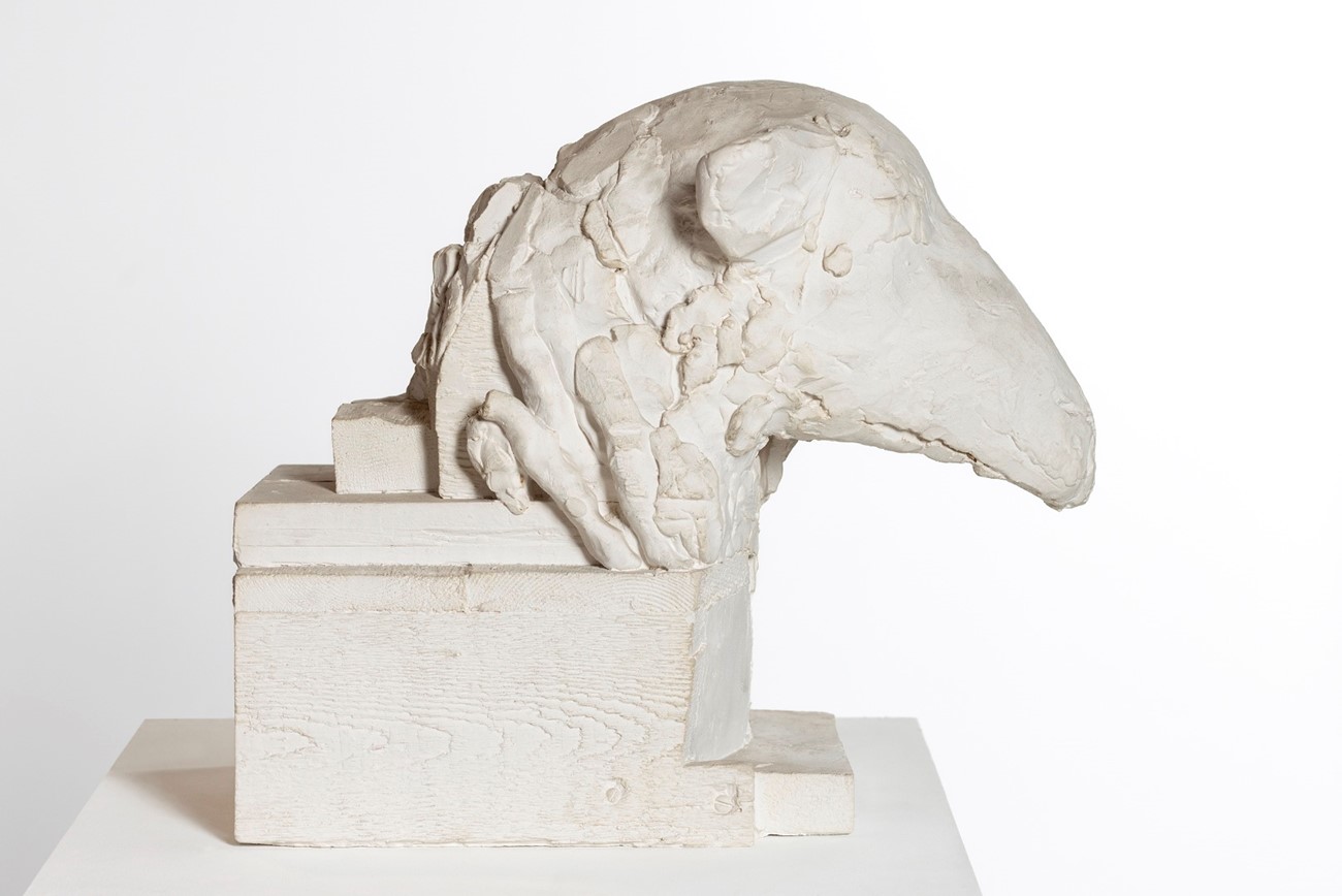 Astrid Noack, Fårehoved, ca. 1947, gips 34 x 23 x 39 cm