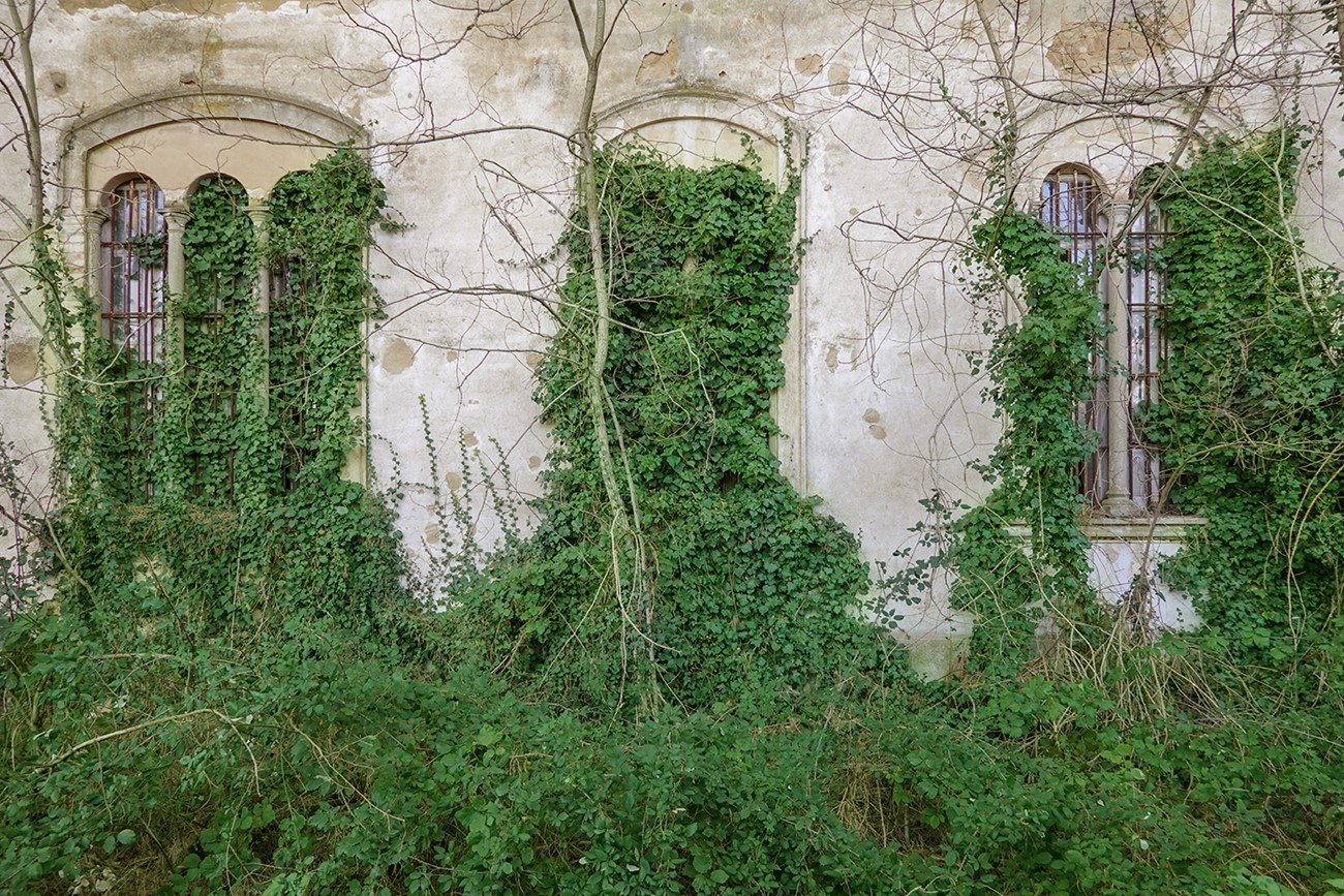 Photography — Volterra. Charcot (2), 2019, Inkjet print on paper
