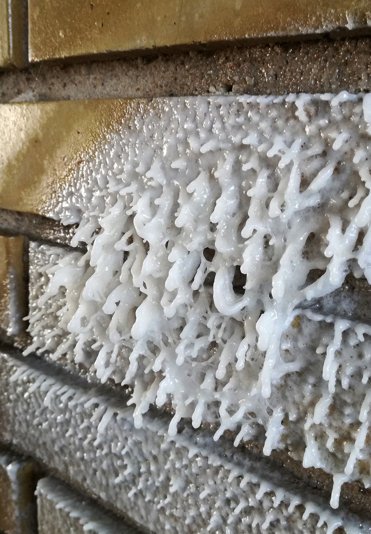 SB1 (detail)