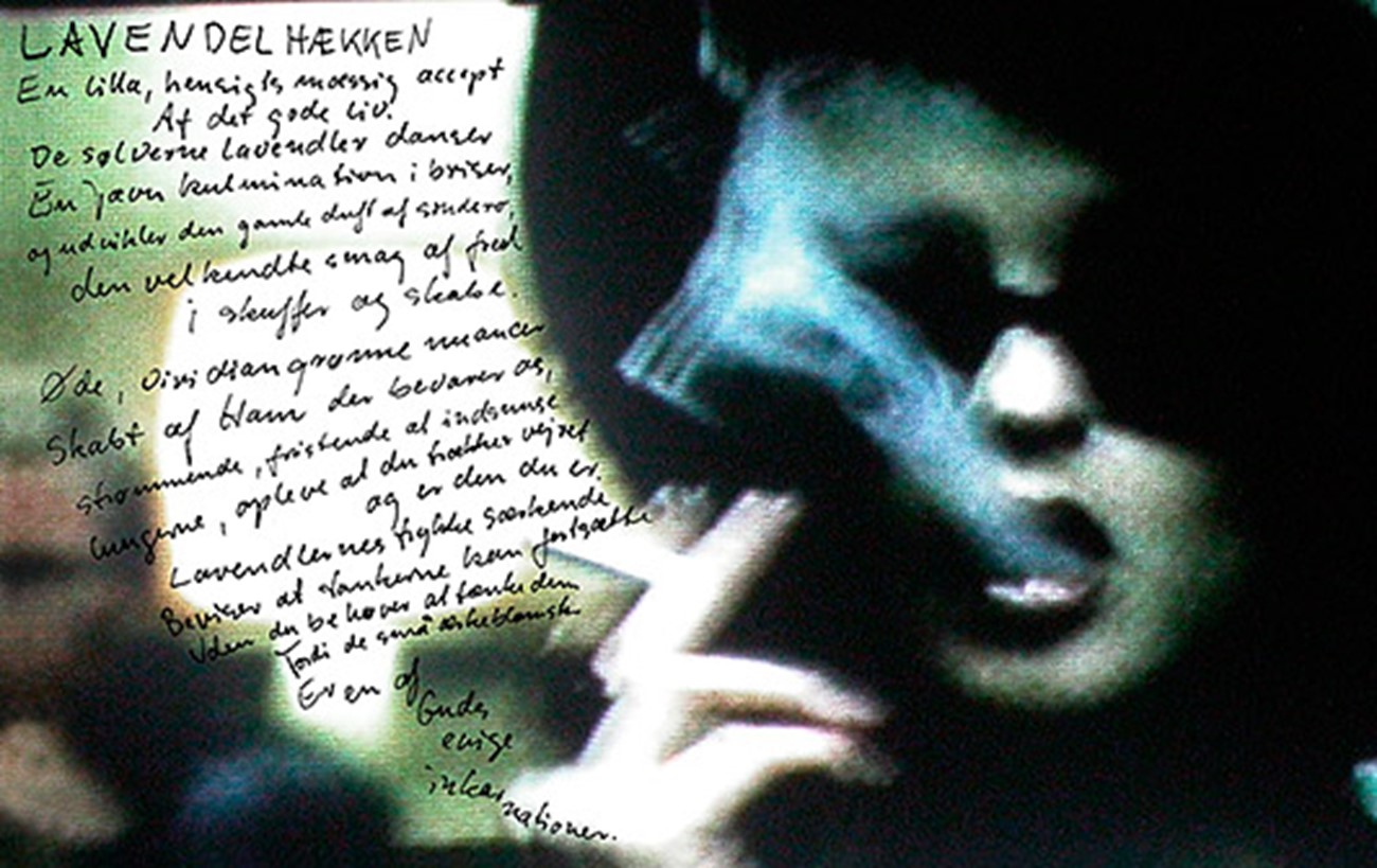 Shadows, poems by Morti Vizki, 2005 — Lavendelhækken, 2004, print on canvas, 96 x 154 cm, edition 5
